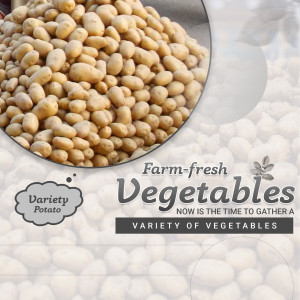 Pile of fresh, round potatoes with a farm-fresh vegetables advertisement.
