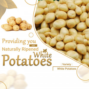 Pile of naturally ripened white potatoes with text overlay
