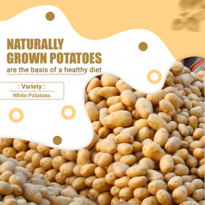 Pile of white potatoes with text promoting natural growth and healthy eating.