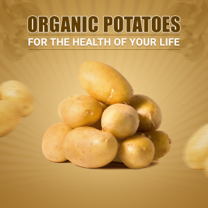 Pile of organic potatoes with text 'Organic Potatoes for the health of your life'