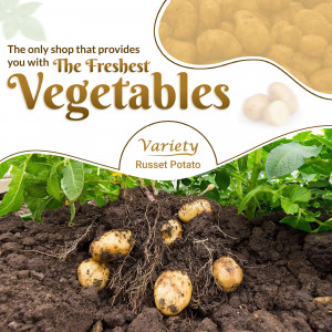 Image of russet potatoes growing in the ground with text promoting fresh vegetables.
