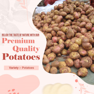 Pile of fresh, brown and red potatoes with text overlay promoting premium quality.