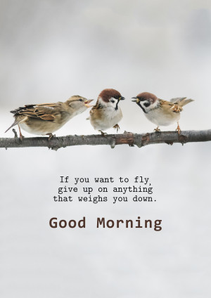 Three small brown sparrows perched on a branch with a motivational quote.