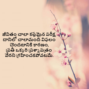 Close-up of cherry blossoms with Telugu text overlay