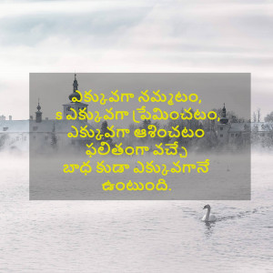 Lakeside view with a swan and Telugu text overlay