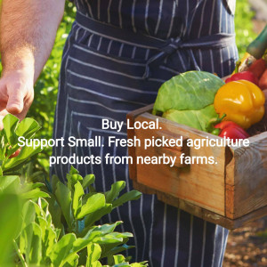 A person holding a crate of freshly picked vegetables in a garden.