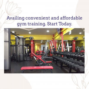 Interior view of a well-equipped gym with various training equipment.