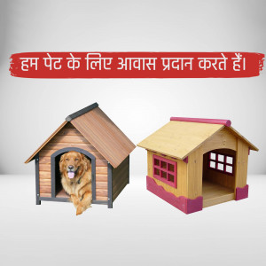 Two wooden dog houses with a golden retriever in one