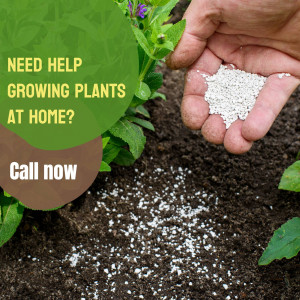 Hand sprinkling fertilizer on soil with text overlay 'Need Help Growing Plants at Home?' and a call to action.