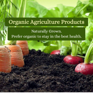 Close-up of organic carrots, radishes, and beets growing in rich soil with text overlay 'Organic Agriculture Products'