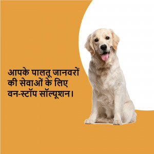 Golden Retriever dog with text in Hindi promoting pet care services