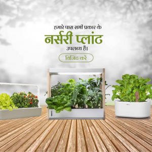 Indoor nursery plant setup with various green plants