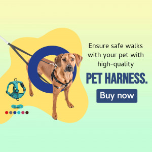 Dog wearing a pet harness with a promotional graphic