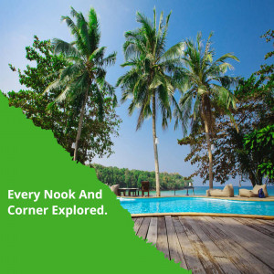 A stunning view of a tropical beach with palm trees, a swimming pool, and a vibrant green overlay.