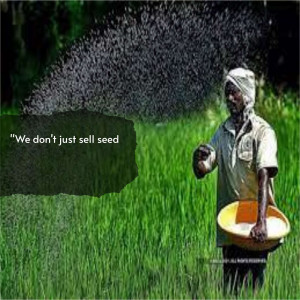 A farmer scattering seeds over a green field with a motivational quote.