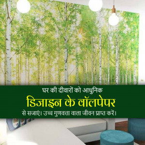 A room featuring a large birch forest wallpaper mural with a green sofa and stool.