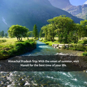 Scenic view of a river flowing through a lush green valley in Manali, Himachal Pradesh