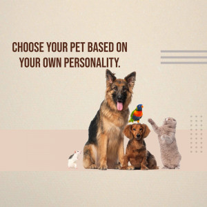 Collage of a German Shepherd, Dachshund, Parrot, Hamster, and Kitten with text 'Choose Your Pet Based on Your Own Personality'