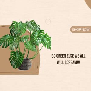 Monstera Plant Promotion Advertisement For Telegram