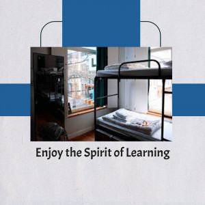 Interior view of a hostel room with bunk beds and a window