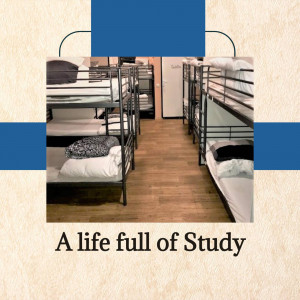 Interior view of a hostel room with multiple bunk beds and wooden flooring.