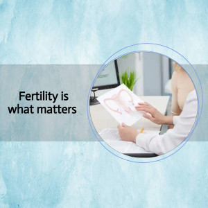 Doctor looking at fertility test results in an office setting.