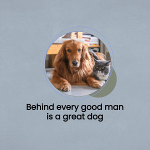 A golden retriever dog and a gray cat lying together inside a circle frame.