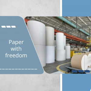 Large rolls of paper stacked in a factory setting