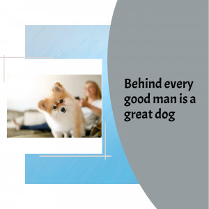 A man petting a Pomeranian dog on a couch.