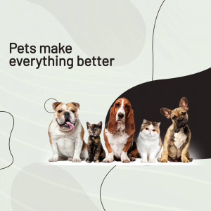 A group of adorable pets including a bulldog, basset hound, cats, and french bulldog.