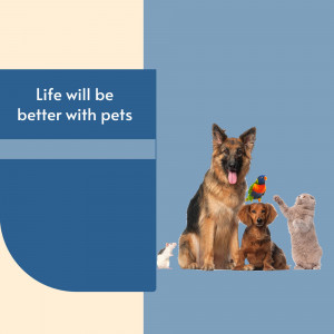 Abstract pattern with lines and shapes