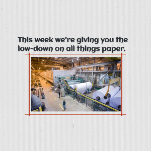 Interior view of a paper mill with large rolls of paper