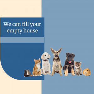 A group of adorable pets including cats, dogs, guinea pigs, and a rabbit.