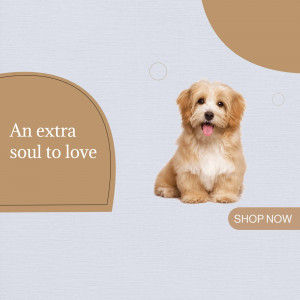 A cute golden puppy sitting and looking at the camera with text 'An extra soul to love' and a 'Shop Now' button.