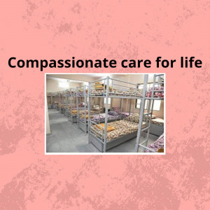 Interior view of a dormitory-style room in a care facility with multiple beds.