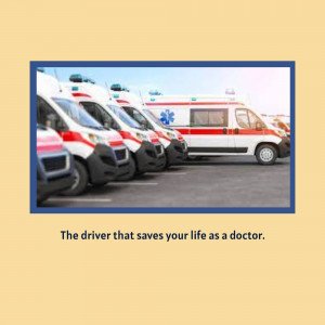 A row of white and red ambulances parked in a line.