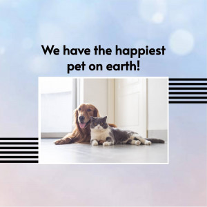 A golden retriever and a grey cat lying together indoors.