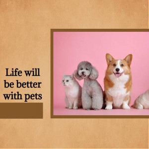 A heartwarming image of a cat, poodle, and corgi with the text 'Life will be better with pets'.