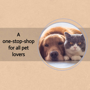 A golden retriever and a grey tabby cat looking at the camera, promoting a pet store.
