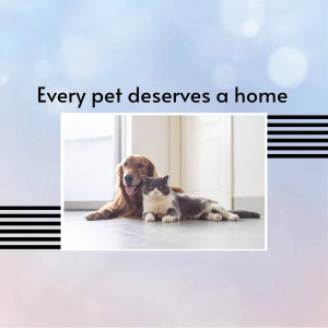 A dog and cat lying together indoors with text promoting pet adoption.