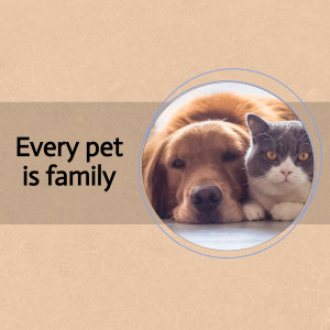 A golden retriever and a grey tabby cat looking at the camera, inside a circular frame.