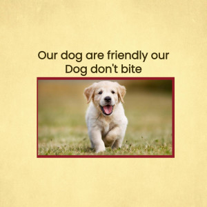 A cute golden retriever puppy running towards the camera with a playful expression.