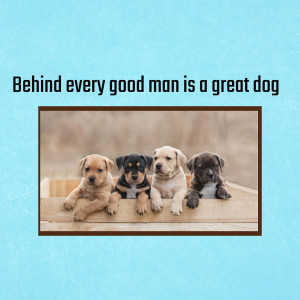 Four adorable puppies sitting in a row with a quote about good men and great dogs.