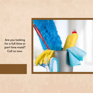 Cleaning supplies including a mop, gloves, brush, and cleaning solutions in a bucket.