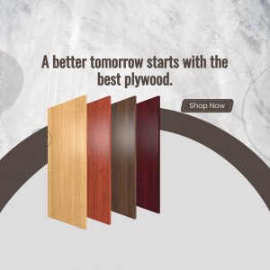 Premium Plywood Selection Advertisement For Telegram