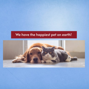 A golden retriever and a grey cat cuddling together.