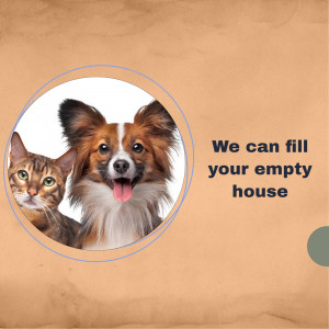 A cute cat and dog looking at the camera inside a circular frame.