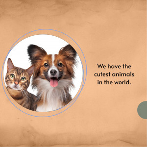 A close-up of a cat and a dog looking at the camera, inside a circular frame.