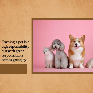 Three adorable dogs and a cat with text about pet ownership