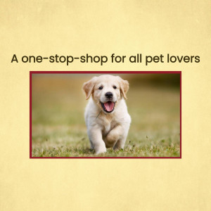 Adorable golden retriever puppy running towards the camera, promoting a pet store.